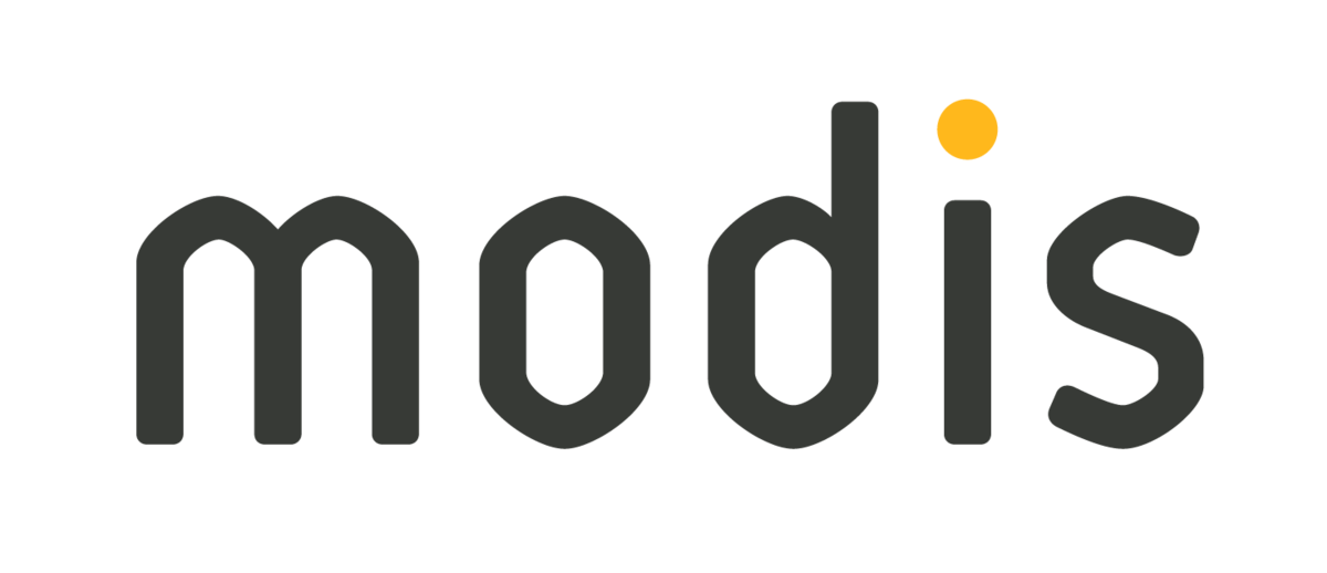Modis Consulting